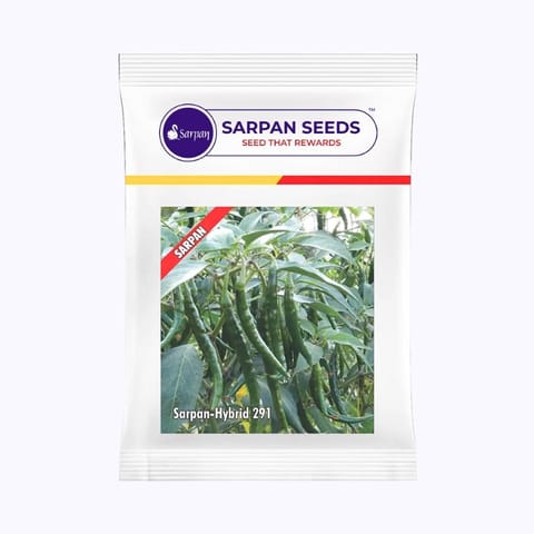 Sarpan 291 Chilli Seeds
