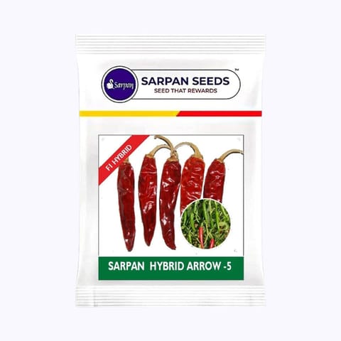 Sarpan Arrow -5 Chilli Seeds