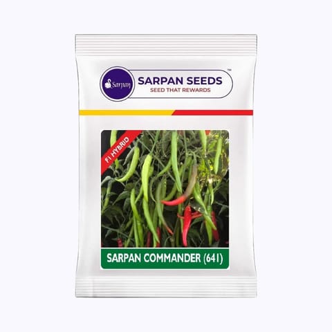 Sarpan Commander (641) Chilli Seeds
