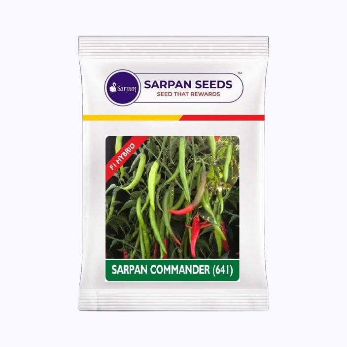 Sarpan Commander (641) Chilli Seeds