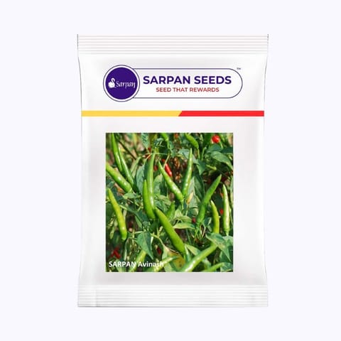 Sarpan Avinash Chilli Seeds