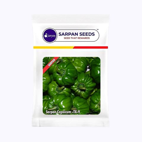 Sarpan TX-9 Capsicum Seeds
