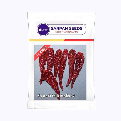 Sarpan Dandicut-2 Chilli Seeds