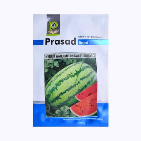 Prasad Sweet Shekhar Watermelon Seeds
