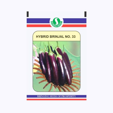 Sungro No.33 Brinjal Seeds