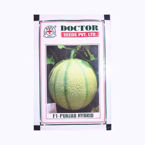 Doctor Punjab Muskmelon Seeds