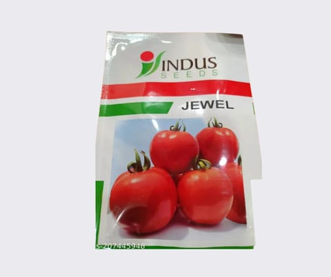 Indus Jewel Tomato Seeds