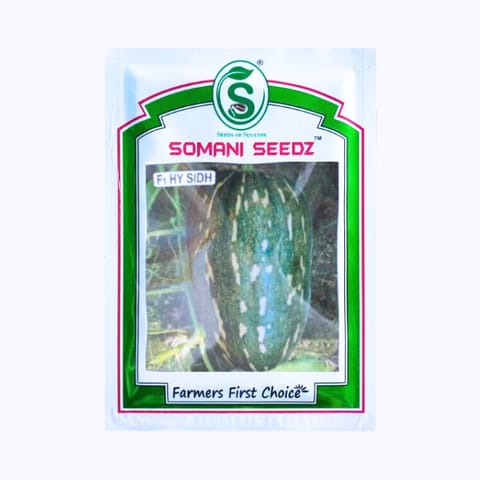 Somani Sidh Pumpkin Seeds