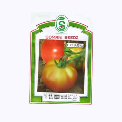 Somani Varsha Tomato Seeds