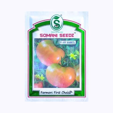 Somani Anmol Tomato Seeds