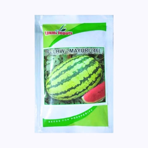 Laxmi Inputs  F1 LHW-Mayuri (46) Watermelon Seeds