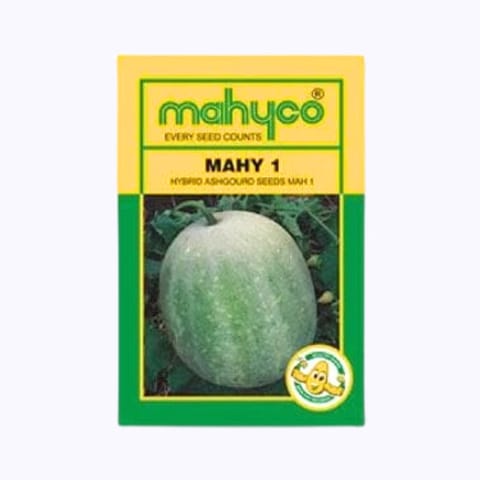 Mahyco Mahy 1 Ash Gourd Seeds