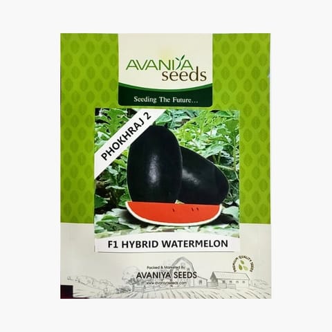 Avaniya Pokhraj 2 Watermelon Seeds