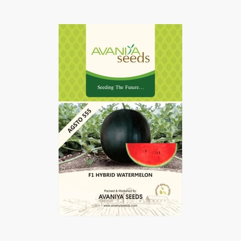 Avaniya AGSTO555 Watermelon Seeds
