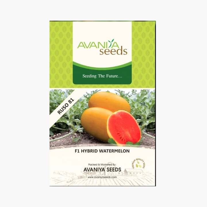 Avaniya Ruso 81 Watermelon Seeds