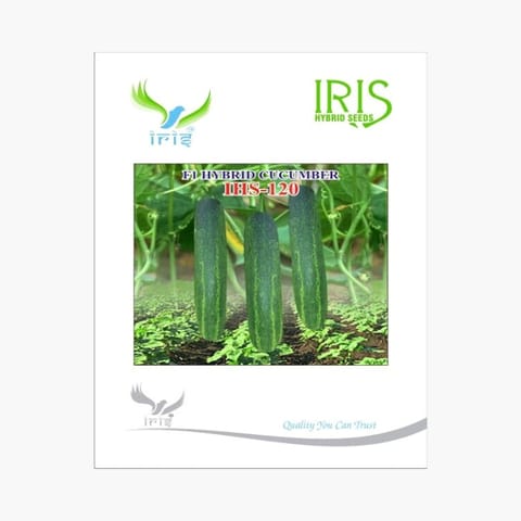 Iris ISH-120 Cucumber Seeds