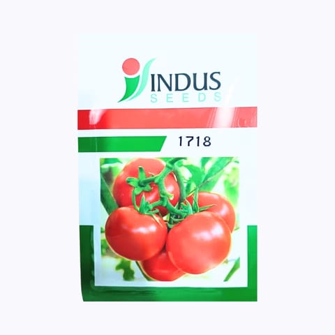 Tomato Indus-1718 Tomato Seeds