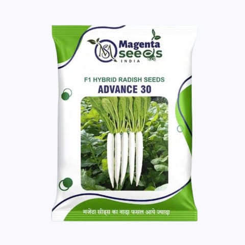 Advance-30 (MSH2201) F1 Hybrid Radish Seeds