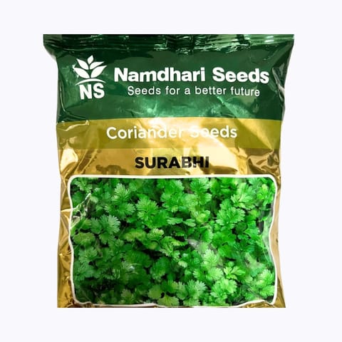 CORIANDER SEEDS