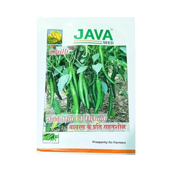 जावा गर्म मिर्च के बीज