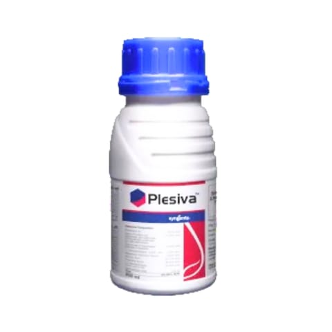 Syngenta Plesiva Insecticide