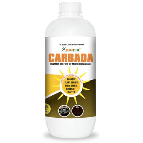 Biofix Carbada