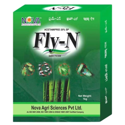 Nova Fly-N Insecticide - Acetamiprid 20% SP
