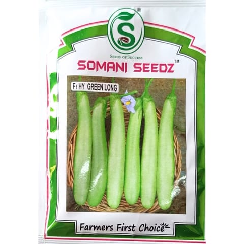 Somani Seedz Green Long Brinjal Seeds