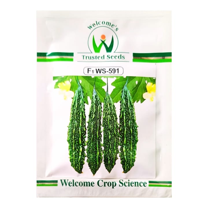 Welcome's WS-591 Bitter Gourd Seeds