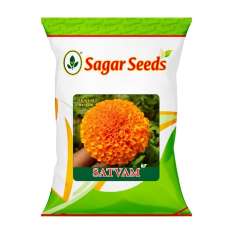 సాగర్ సత్వం మేరిగోల్డ్ విత్తనాలు