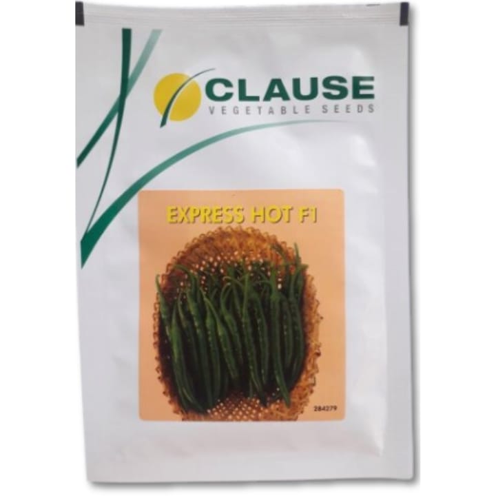 Clause Express Hot F1 Chilli Seeds