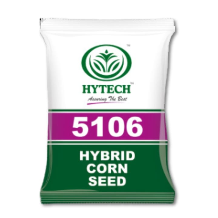 HTMH 5106 మొక్కజొన్న విత్తనాలు కొనండి - అధిక దిగుబడి, ఒత్తిడికి తట్టుకునే, మరియు వ్యాధి నిరోధక
