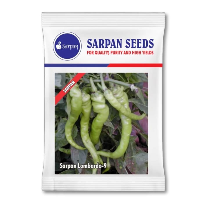 Sarpan Lombardo-9 Chilli Seeds