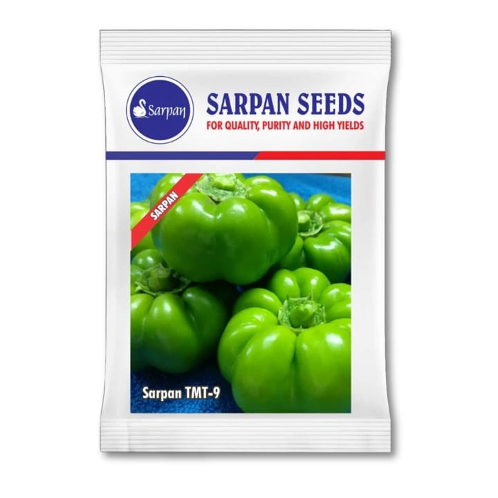 Sarpan TMT-9 Capsicum Seeds