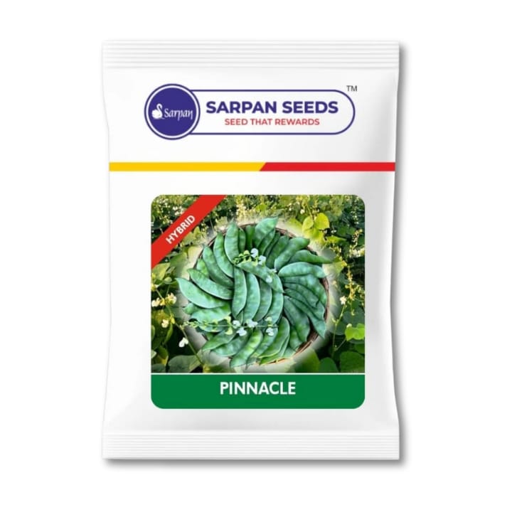 Sarpan Pinnacle Dolichos (White Flower)