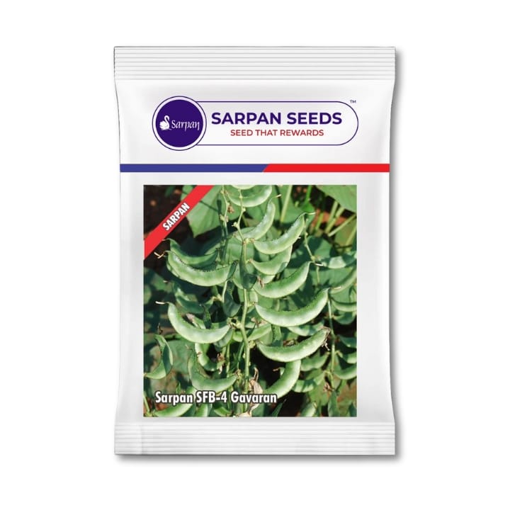 Sarpan SFB-4 Gavaran Dolichos Seeds