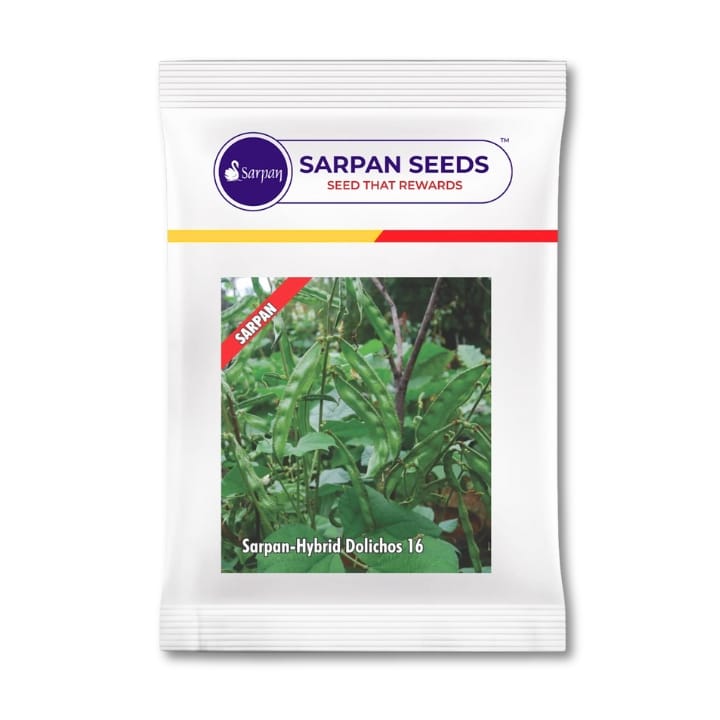 Sarpan Dolichos-16 (All Season)