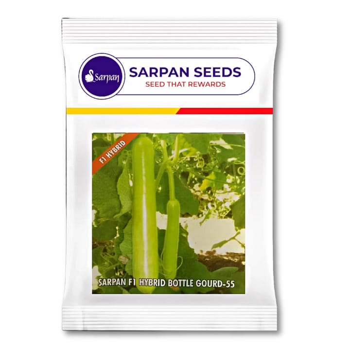 Sarpan Bottle gourd-55