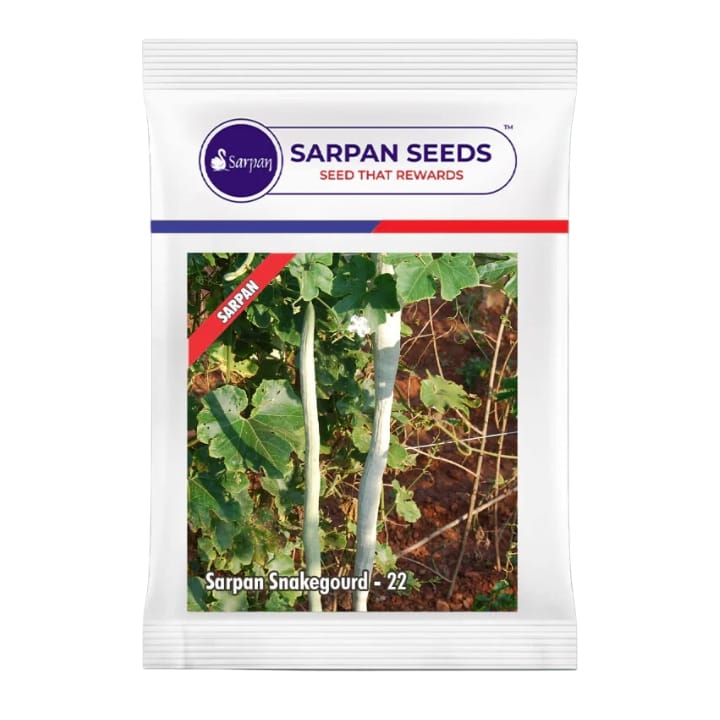 Sarpan Snakegourd -22