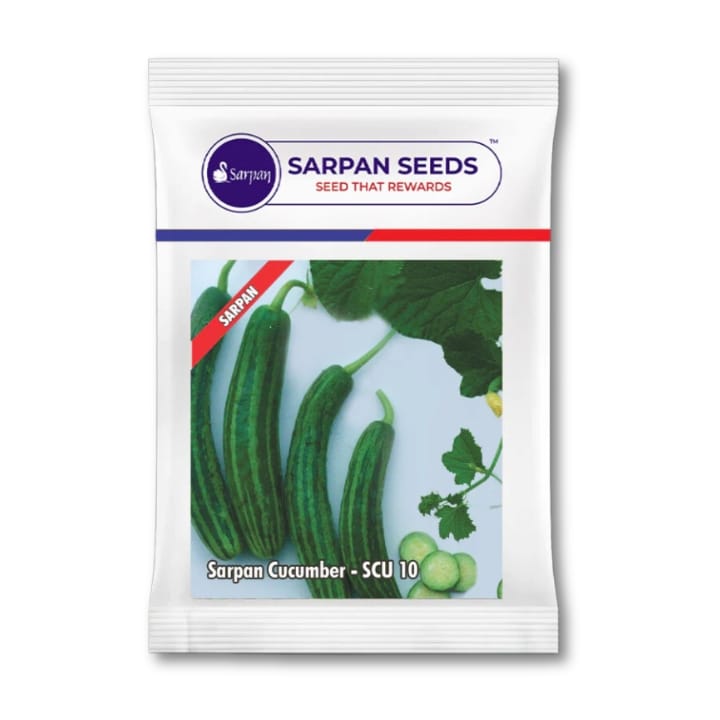 सर्पन खीरा – SCU 10
