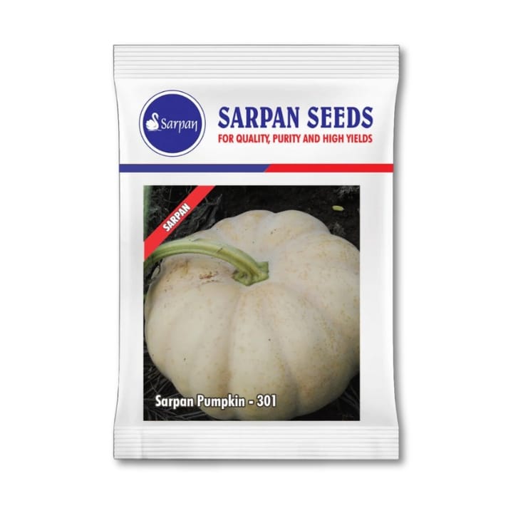 Sarpan Pumpkin-301