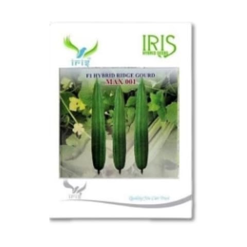 Iris Max001 రిడ్జ్ గోర్డ్ విత్తనాలు కొనండి