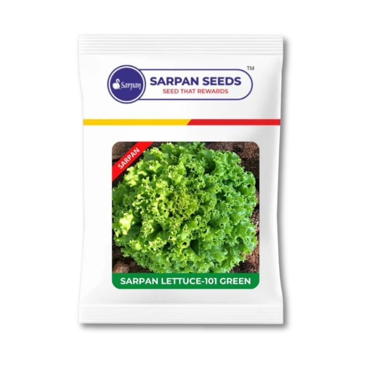 Sarpan Lettuce-101 Green