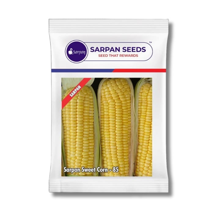 Sarpan స్వీట్ కార్న్-85 విత్తనాలు కొనండి