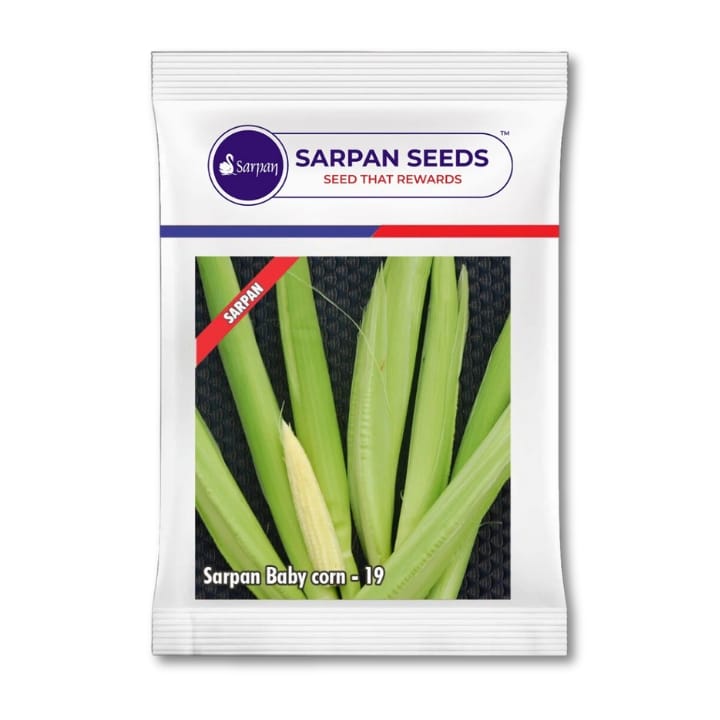 Sarpan Baby Corn-19 बीज खरीदें
