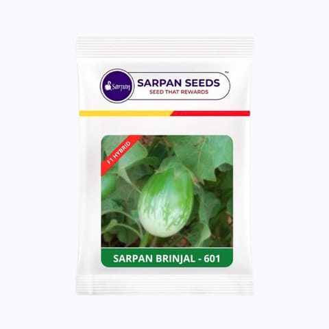 सर्पन 601 बैंगन बीज