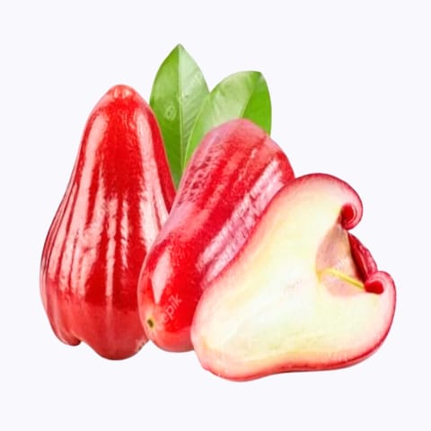 రెడ్ వాటర్ ఆపిల్ మొక్క