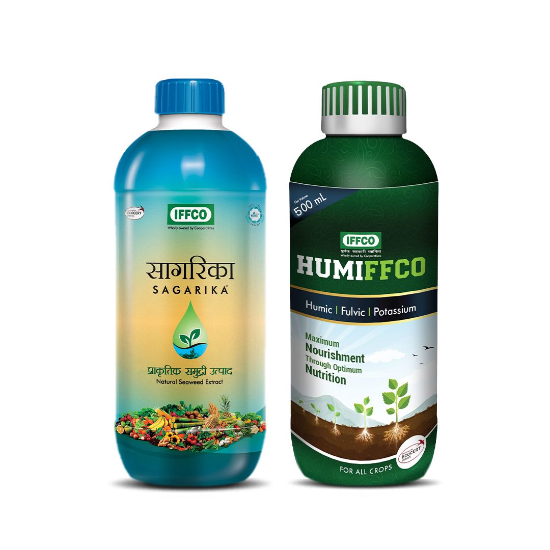 సాగరిక + హమిఫ్కో కాంబో 1 లీటర్ (500ml X ప్యాక్ ఆఫ్ 2)