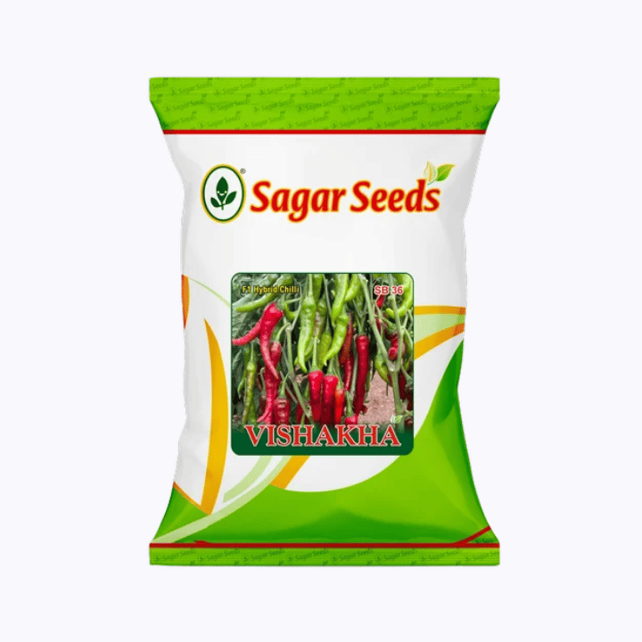 సాగర్ విశాఖ F1 మిరపకాయ