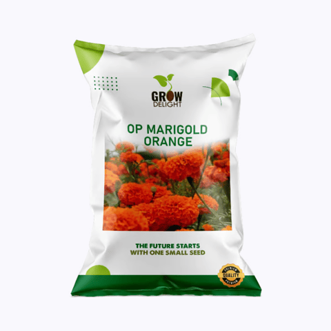 डिलाइट मैरीगोल्ड ऑरेंज उगाएं